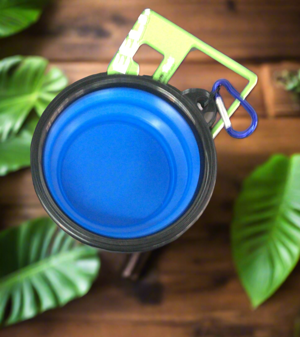 Blue collapsible water bowl