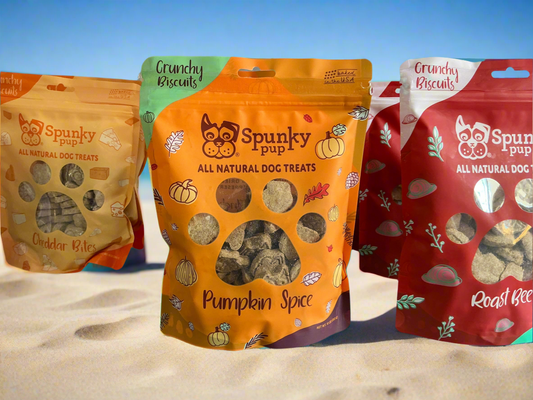 Dog treats pumpkin spice