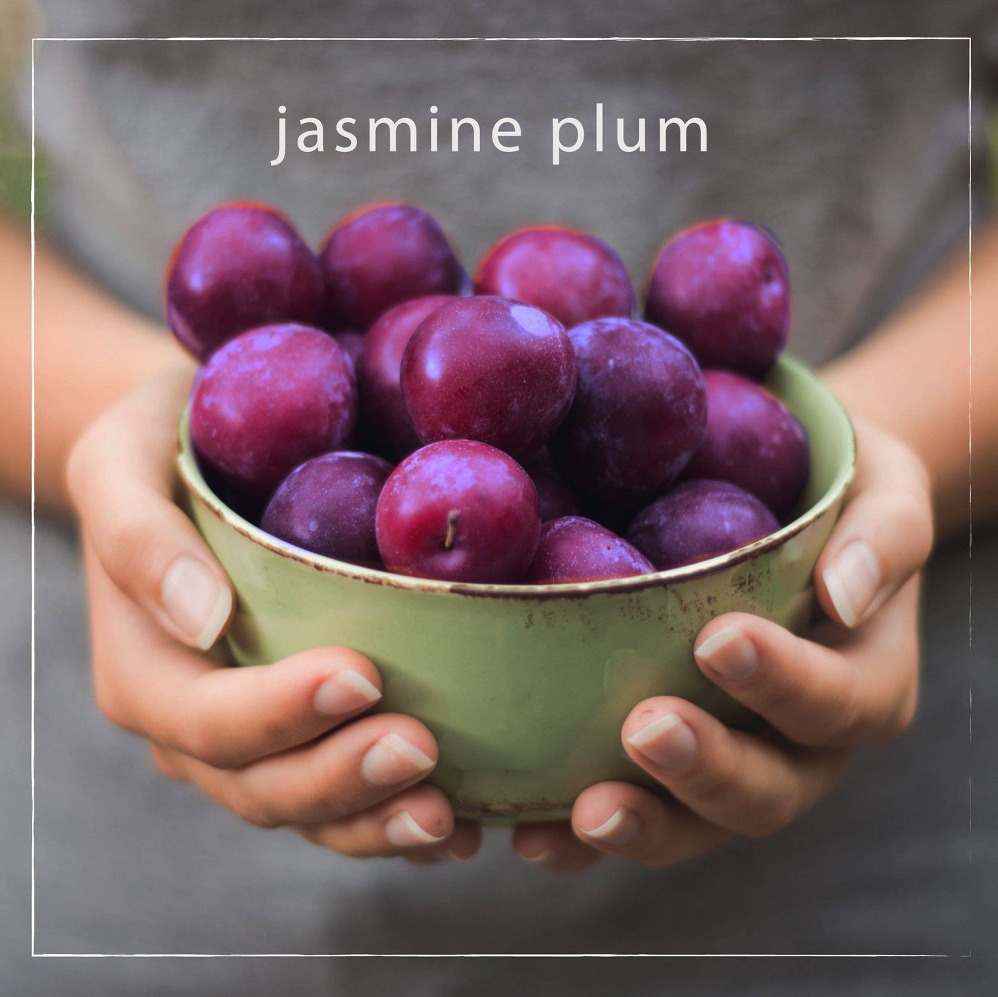 Jasmine Plum Shea Butter Bar Soap