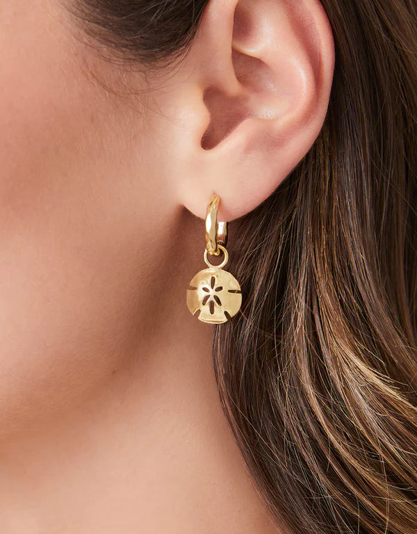 Spartina sand dollar gold hoops