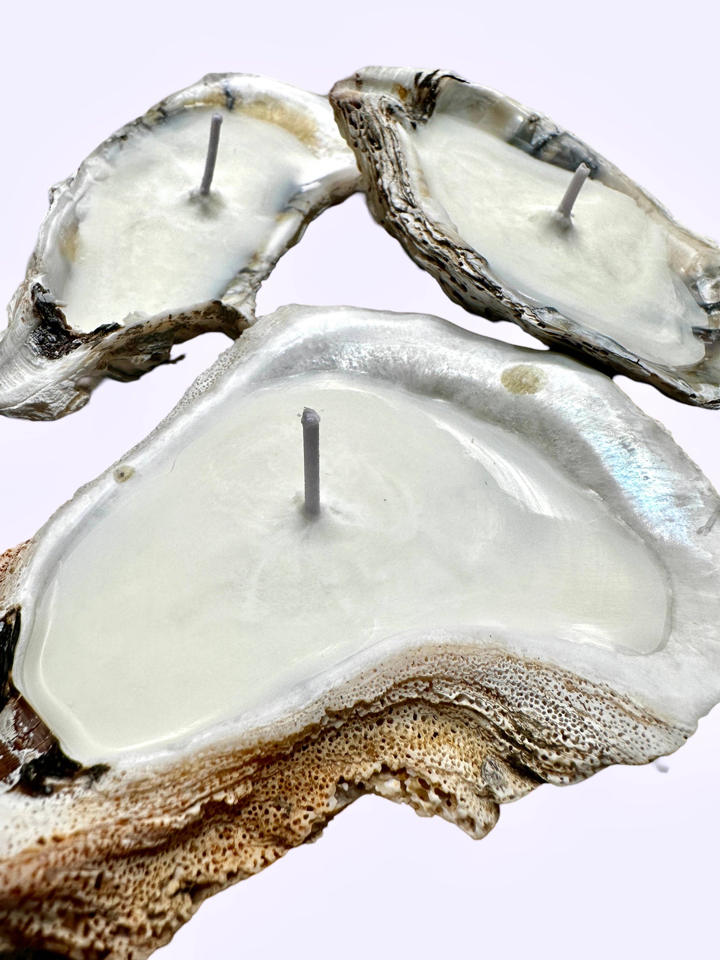 SINGLE Scented Novelty Oyster Shell Coastal Cottage