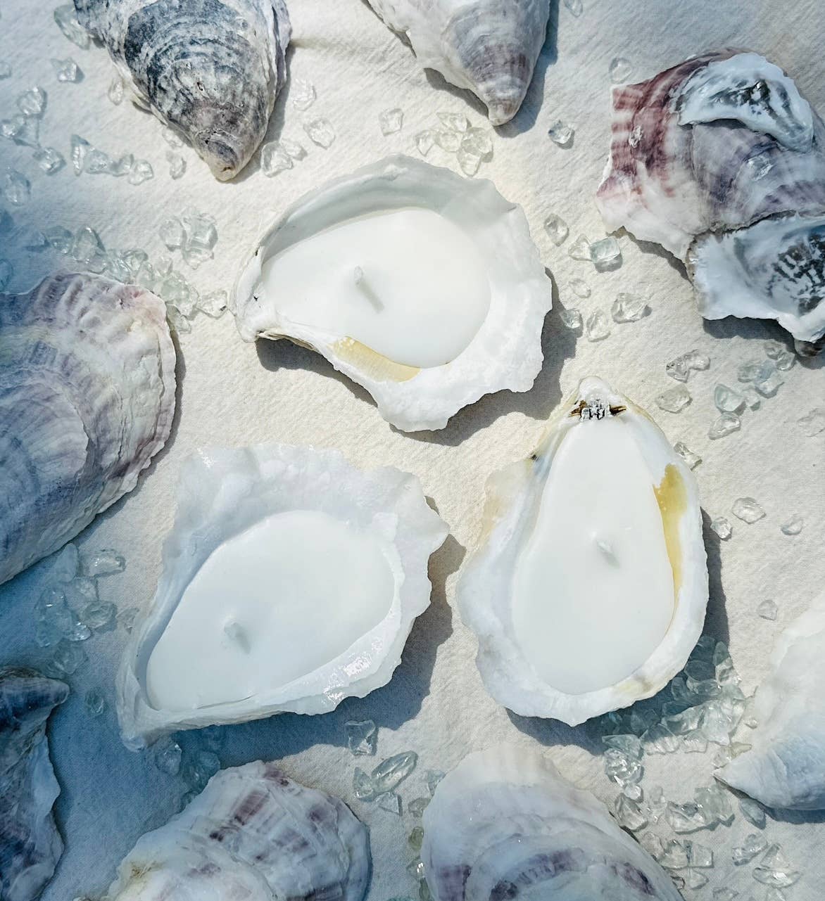 SINGLE Scented Novelty Oyster Shell Coastal Cottage