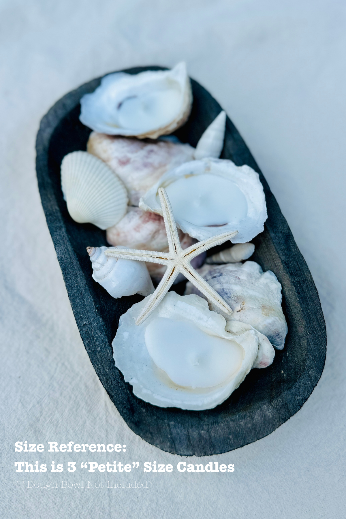 SINGLE Scented Novelty Oyster Shell Coastal Cottage