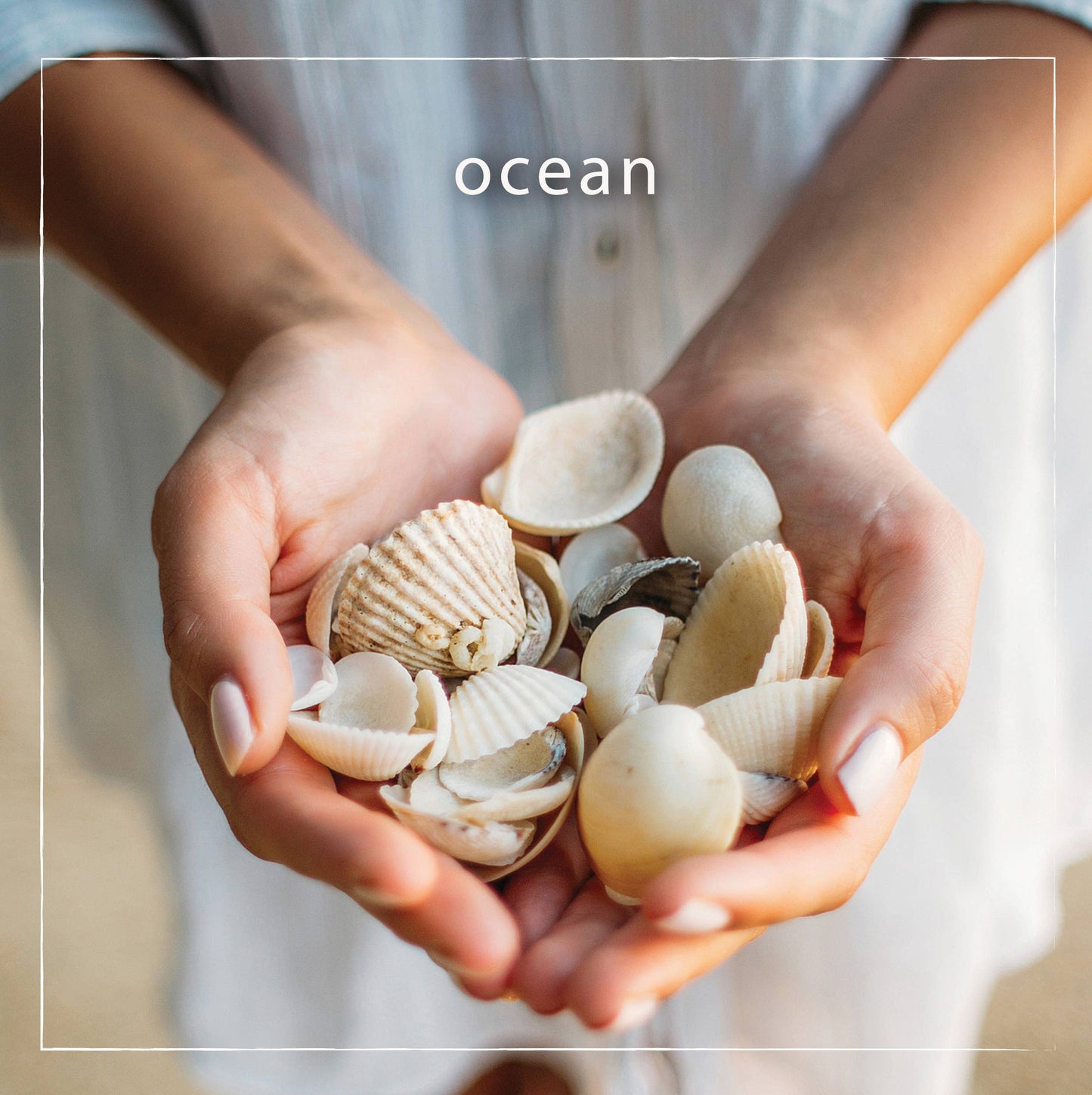 Ocean Shea Butter Bar Soap