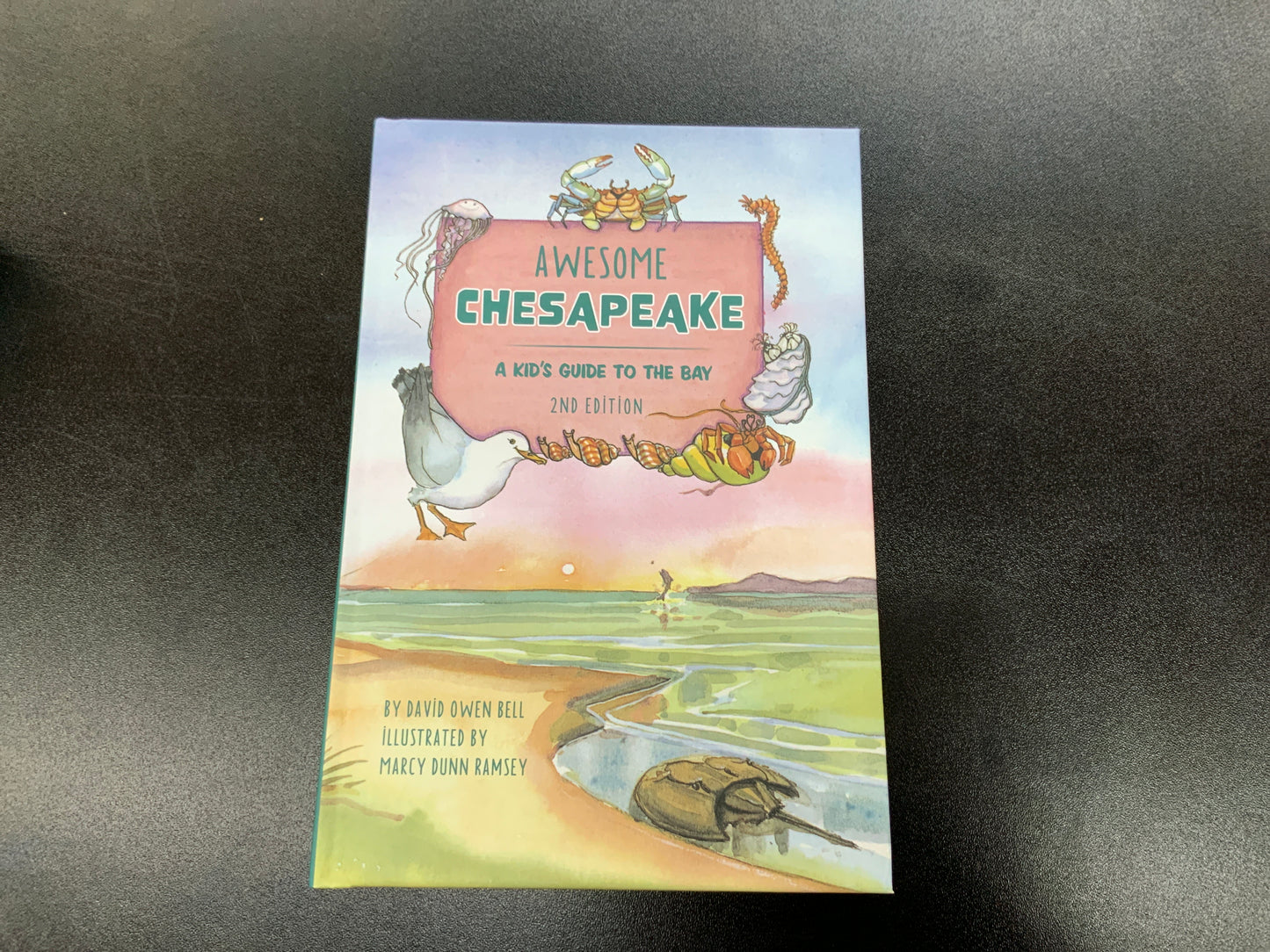 Awesome Chesapeake a kids guide to the bay