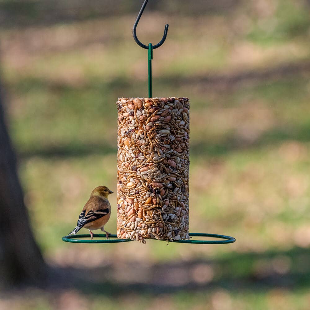 Cylinder Feeder