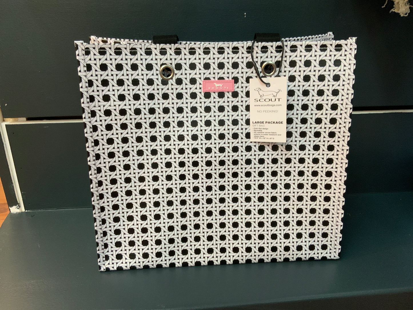 Scout cane Fonda bag