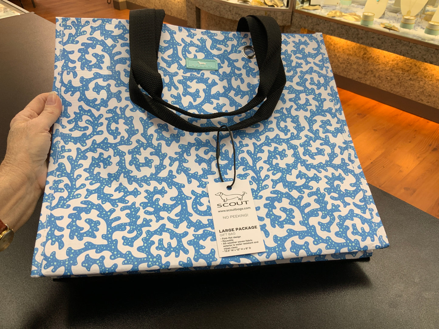 Scout Large Package Gift Bags Sweet Caroline