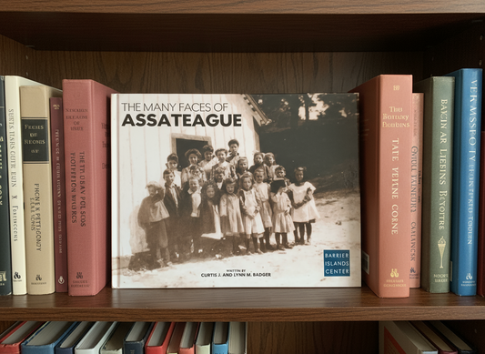 The many faces of assateague