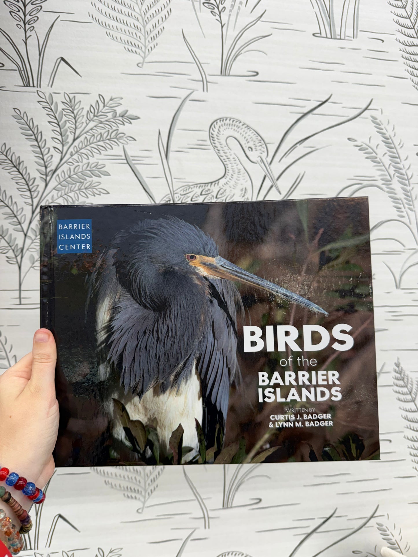 BARRIER ISLANDS BOOKS