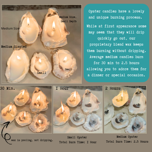 SINGLE Scented Novelty Oyster Shell Coastal Cottage